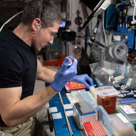 Michael Hopkins arbeitet an dem &#034;Phase II Real-time Protein Crystal Growth experiment&#034; auf der ISS