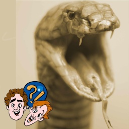 Beißt sich eine Giftschlange mal auf die Zunge?