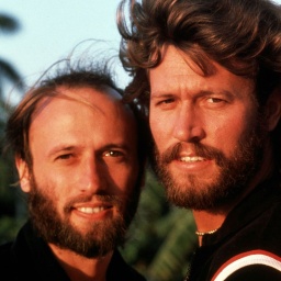 Die Bee Gees