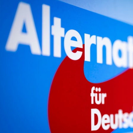 Das Logo der AfD.