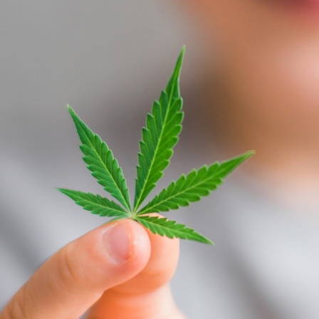 Eine Frau hält ein Cannabis-Blatt in die Kamera.