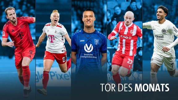 Sportschau Bundesliga - Tor Des Monats November - Alle Tore