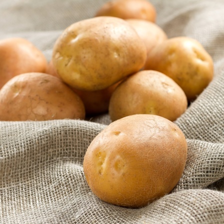 Kartoffeln auf Sack
