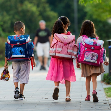 Rückansicht: Drei Schulkinder mit Schulranzen auf einem Weg auf dem Schulgelände 