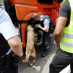 Ein Polizeihund sucht nach Sprengstoff und Drogen in Zürich.