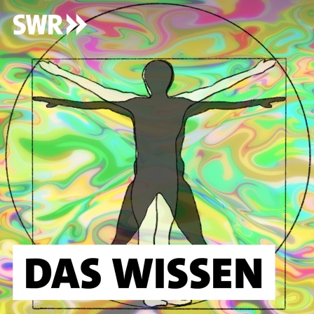 Wer den Bauplan von Körper und Psyche kennt, lebt lebenswerter. Heute ein bewusstseinsveränderndes Microdosing mit Psychedelika, morgen eine emotional heilsame Kakaozeremonie. Wie erfüllend ist es, mich auf die beste Version meiner selbst umzusteuern?