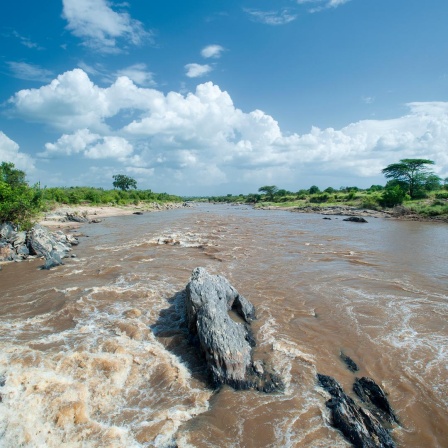 ein wilder Fluss in einer offenen Savannenlandschaft