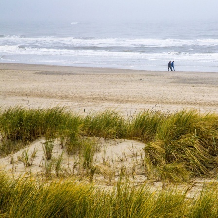 Blick auf Dünen und Strand auf der Insel Spiekeroog