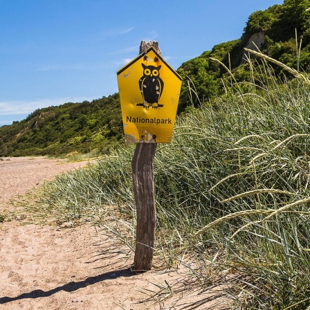 Ein Nationalpark-Schild auf Hiddensee, Rügen.