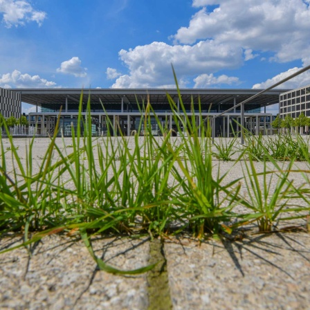 Gras wächst aus einer Fuge vor dem BER-Flughafen (Bild: dpa/ Patrick Pleul)
