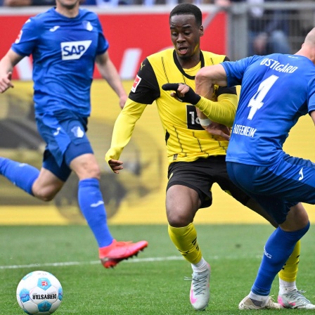 Dortmunds Gittens wird im Strafraum von Ostigard gestoppt