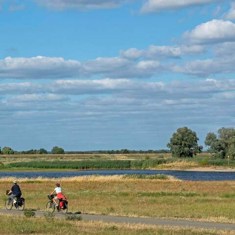 Radfahrer fahren entlang der Elbe (Foto: imago images / Imagebroker)