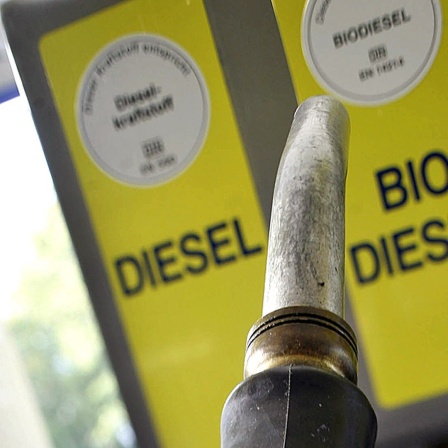 Biodiesel-Zapfsäule