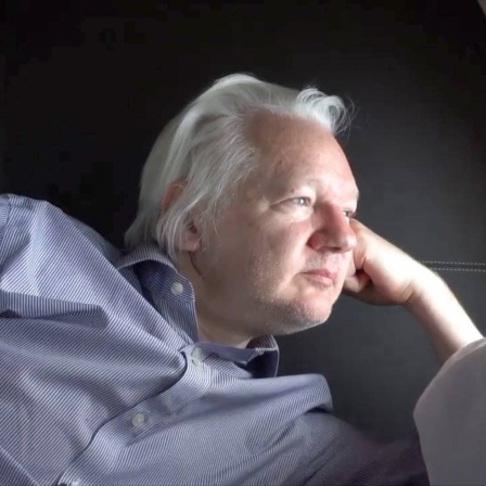 Julian Assange liegt auf der Seite auf seinen Arm gestützt und schaut aus dem Fenster eines Flugzeugs. 