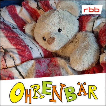 Ein Teddybär, eingekuschelt in eine bunte Decke (Quelle: rbb/OHRENBÄR/Sonja Kessen)