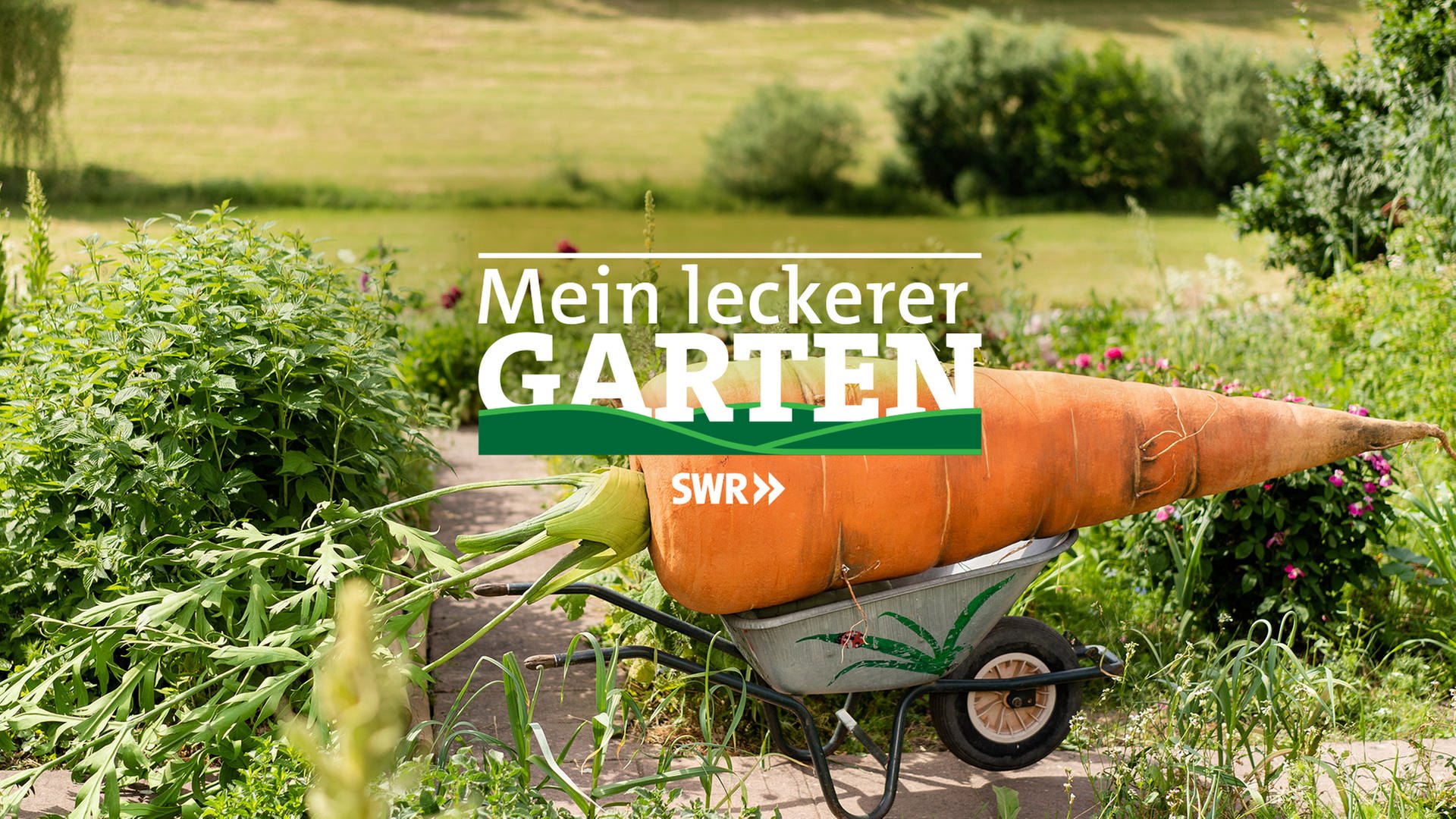 Mein leckerer Garten Videos der Sendung ARD Mediathek