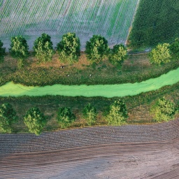 Eine Luftaufnahme eines mit grünem Wasser gefüllten Grabens, der sich zwischen Feldern entlang schlängelt.