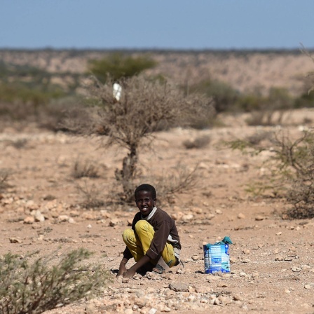 Dürre in Somaliland