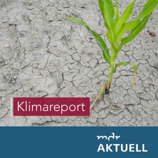 Klimareport von MDR AKTUELL