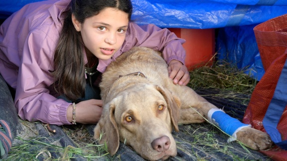 Tiere Bis Unters Dach - Jagdfieber (s09/e05)