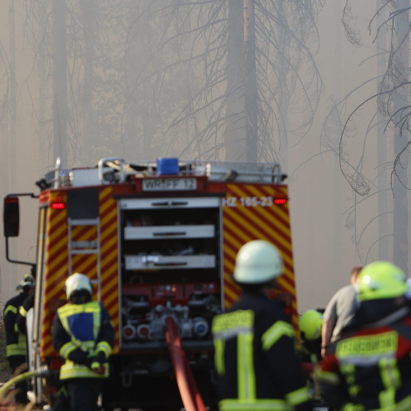 Das Interview · Waldbrand Im Harz: Polizei Geht Von Brandstiftung Aus ...