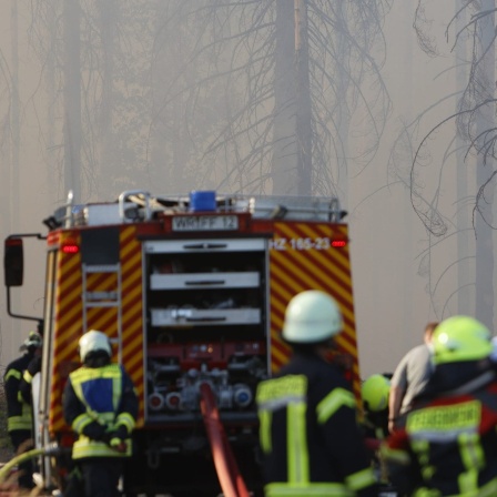 Feuerwehrleute vor Waldstück im Rauch.