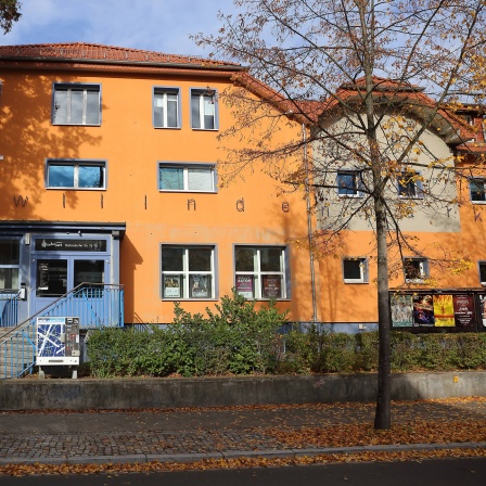 Der Lindenpark in Potsdam