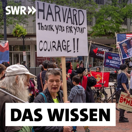 Protestierende vor der Harvard-Universität in Cambridge/Massachusetts. Auf einem Plakat steht: HARVARD Thank You For Your COURAGE!!