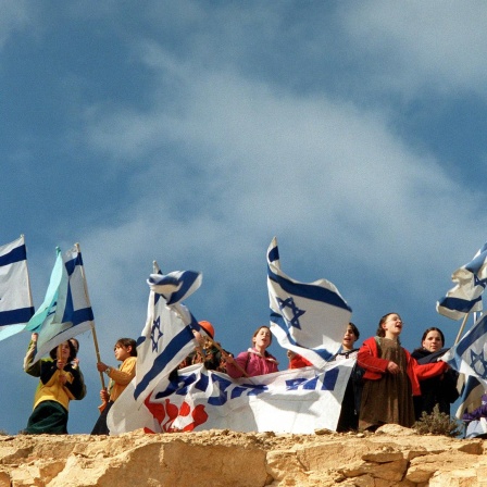 Junge jüdische Siedler schwenken israelische Flaggen auf einem Hügel in der Nähe einer illegalen Siedlung in der Westbank.