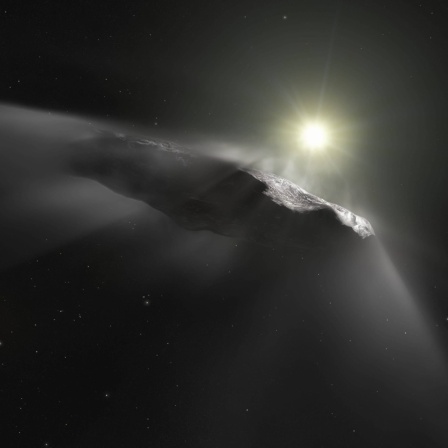 Künstlerische Darstellung des interstellaren Asteroiden Oumuamua