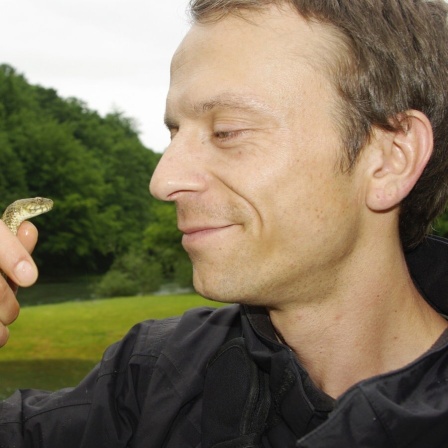 Herpetologe (Reptilienforscher) Sebastian Lotzkat hält eine kleine Schlange auf Augenhöhe.
