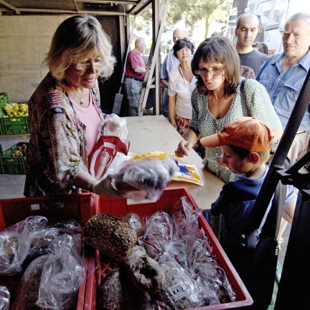 Mitarbeiter der Tafel verteilen Lebensmittel an Bedürftige