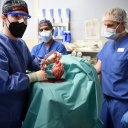 Ärzte operieren an einem Schweineherz das in einen menschlichen Patienten eingesetzt wird.