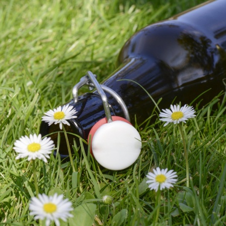 Eine leere Bierflasche liegt auf einer Blumenwiese.