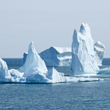 Grönland, Eisberge bei Qerqertarsuaq, 2024.