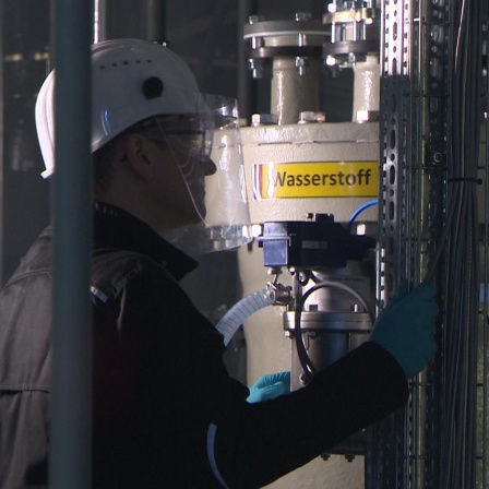 Ein Mitarbeiter der Technischen Universität Clausthal in Goslar steht an einem Elektrolyse-Testfeld zur Gewinnung von grünem Wasserstoff.