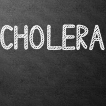 Die Cholera in Bayern - Eine Pandemie des 19. Jahrhunderts