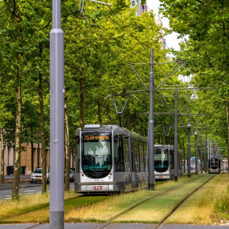 Stadtbegrünung Straßenbahn Rotterdam