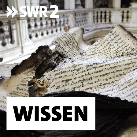Vom Feuer zerstörte Schriften nach dem Brand in der Herzogin Anna Amalia Bibliothek zu Weimar