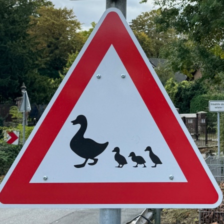 In Unna-Kessebüren steht ein Schild, das vor kreuzenden Enten warnt