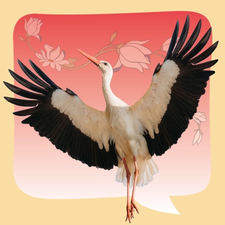 Der tanzende Storch | chinesische Weisheitsgeschichte | erzählt von Gudrun Rathke