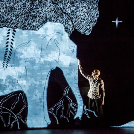 Akram Khan Company: "Chotto Desh" © Richard Haughton