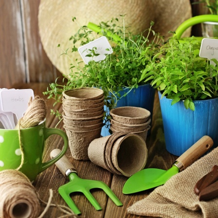 Gartenwerkzeuge