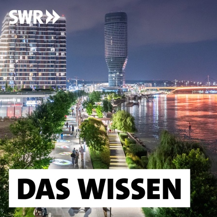 Das neue Luxusohnviertel Belgrade Waterfront an der Save: Die Besucherzahlen steigen in Serbiens Hauptstadt, es wird an allen Ecken gebaut. Belgrade Waterfront ist das größte Bauprojekt Südosteuropas. Die meisten Einheimischen aber können sich eine Wohnung in der Stadt nicht mehr leisten, stattdessen investieren hier viele Russen und Araber - zumeist in Cash: Geldwäsche ist an der Tagesordnung.