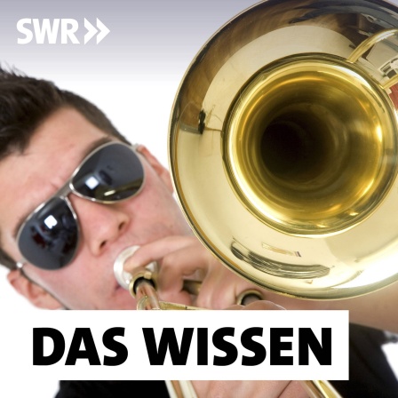 Junger Mann mit Sonnenbrille bläst in eine Posaune: Die Wucht von Trompete, Posaune und Tuba, moderne Rhythmen und Elemente von Techno bis Pop - neue Blasmusik-Combos sind mitreißend.
