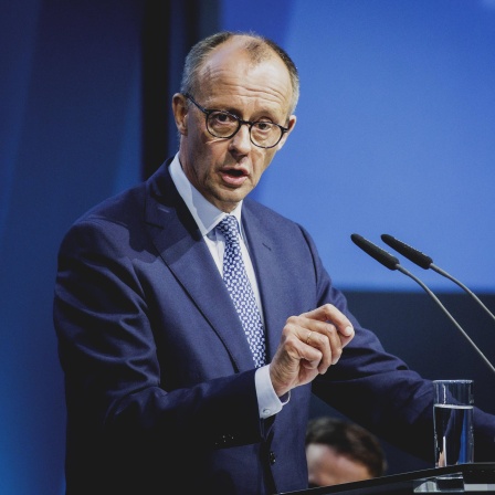Friedrich Merz, CDU-Parteivorsitzender