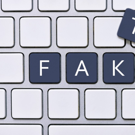 Computertastatur mit der Aufschrift "Fake" (Symbolfoto)