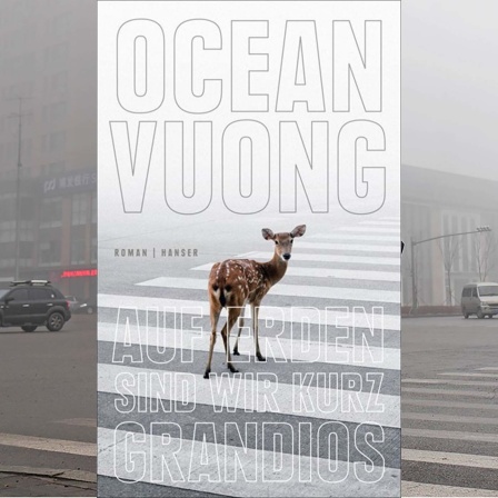 Zebtrastreifen in eiiner chinesischen Stadt + Buchcover Ocean Vuong: Auf Erden sind wir kurz grandios © imago/Xinhua + hanser verlag