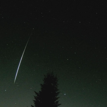 In den frühen Morgenstunden des 19.02.2025 erhellt ein Lichtschweif den Nachthimmel für einige Sekunden. 