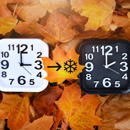 Zwei Uhren auf Herbstblättern, Symbolfoto für die Umstellung auf Winterzeit